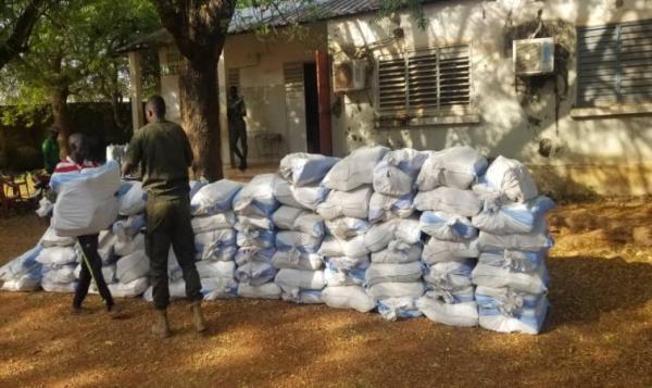 Répression du trafic illicite de drogue à Kédougou 1440 kilogrammes de chanvre indien saisis